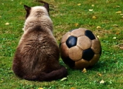 九游娱乐-曼城轻取尤文，孙兴慜梅开二度西甲：激情碰撞与荣耀之路