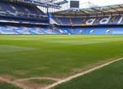 九游app下载-欧洲网球队完胜日本网球队，瓦林卡关键制胜