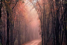 九游娱乐-欧冠惊魂夜！阿根廷巨人86分钟绝杀曼城中国小将助攻改写命运