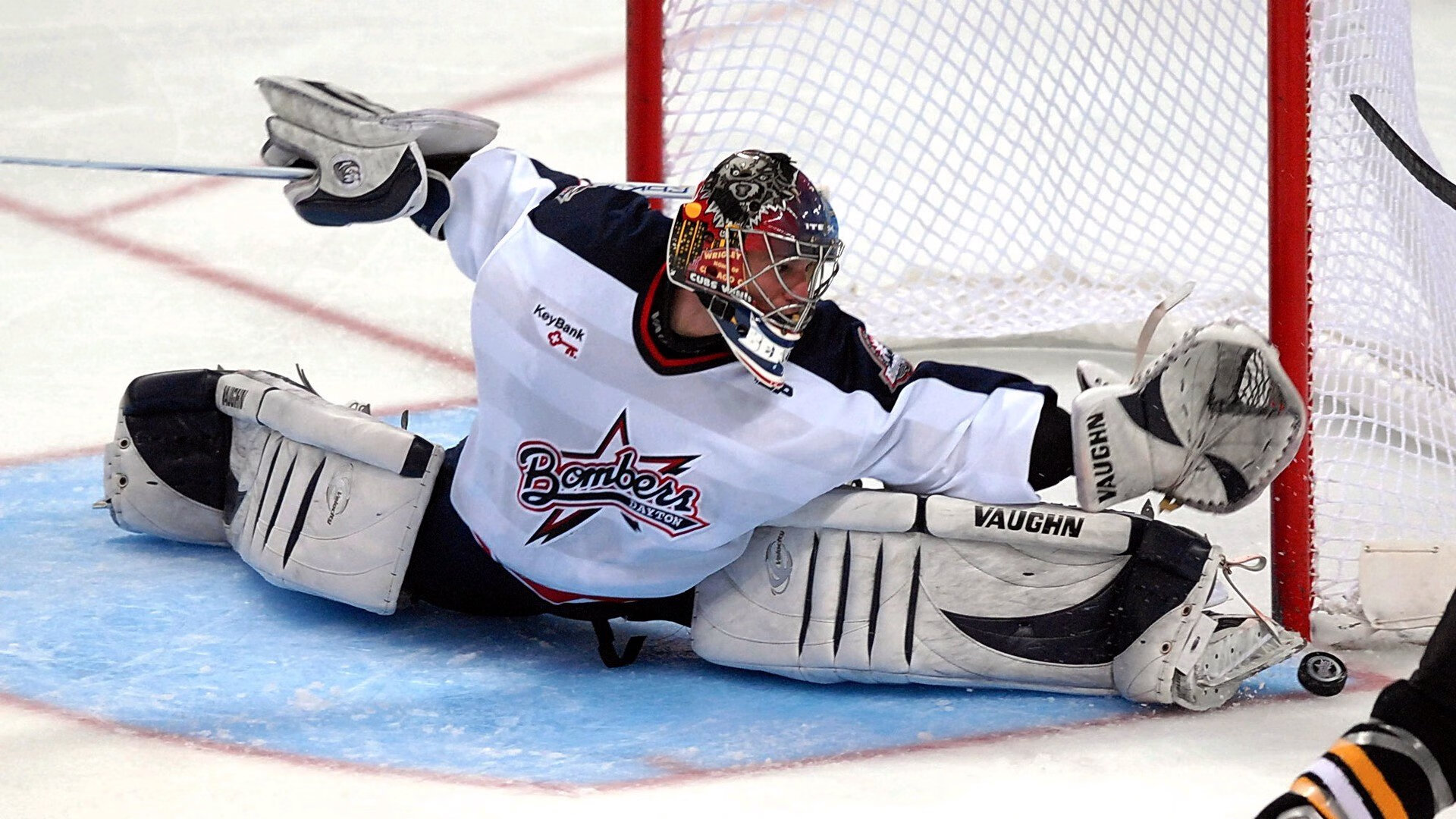 北境鏖战，福克斯率队破网，猛龙主场力克篮网